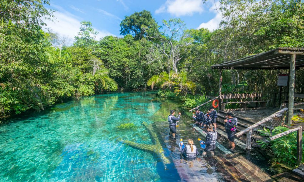 Nascente Azul Tudo Sobre A Melhor Flutua O De Bonito Voenews