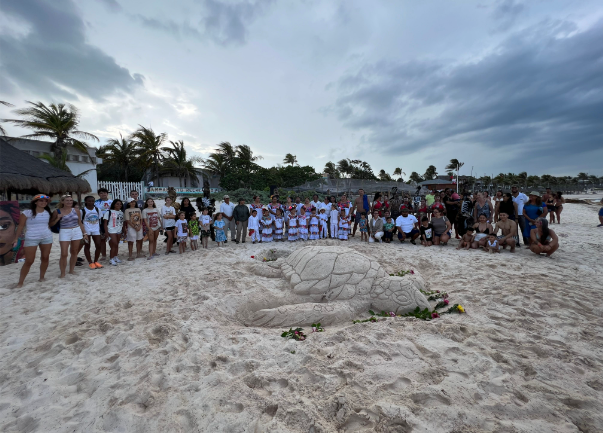 Comienza oficialmente temporada de anidación de tortugas en Riviera Maya – VoeNews – Notícias do Turismo