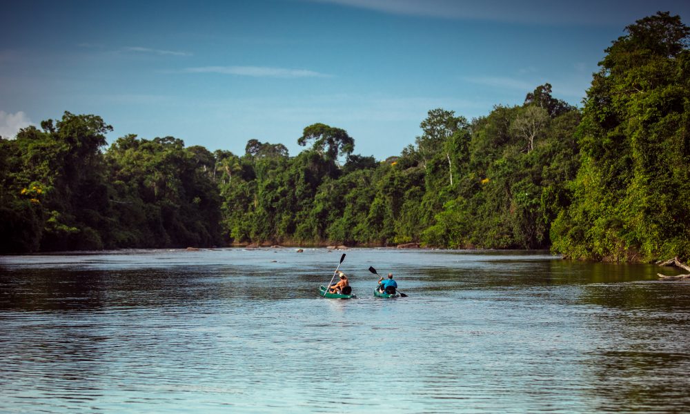 Moment des Spektakels der Erneuerung der Natur – VoeNews – Notícias do Turismo