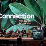 Abertura Connection – Anselmo Cunha (2)