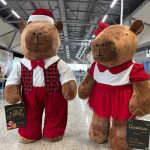 IMG_Capivaras CWB_Motiva