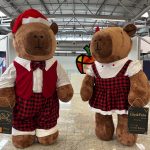 IMG_Capivaras CWB_Motiva_3