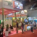 WTM Latin American (133)