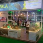 WTM Latin American (34)